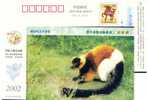 China, Postal Stationery Monkey - Singes