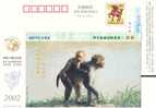 China, Postal Stationery , Monkey - Singes