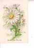 BONNE FETE MAMAN -   MARGUERITES    -  N° 753 6   -  5 - Mother's Day