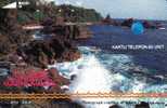 INDONESIA 60 UNITS  LANDSCAPE  UJUNG  KULON  EARLY CARD 1994 SPECIAL PRICE !! READ DESCRIPTION !! - Indonésie