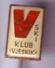 SKIING CLUB VJESNIK  ( Croatia ) * Skiing Ski Esqui Schilauf Skilauf Ski Alpin Sci Sport Pin Sports Pins * - Wintersport