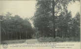 CPA BONSECOURS / ENTREE DU BOIS DE SAPINS-ROUTE - Peruwelz