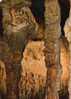 CPSM. GOURDON EN QUERCY. GROTTES PREHISTORIQUES DE COUGNAC.SALLE DES PEINTURES.LE GRAND BOUQUETIN. - Gourdon