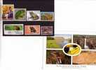 Timbres Et Carte Sur Les Grenouille - Stamps And Postcard On Frog - Grenouilles