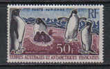 G1142 - TERRE AUSTRALI E ANTARTICHE FRANCESI - TAAF : P.a. N.  5  * - Posta Aerea