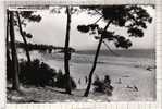 17 MESCHERS 1955 PLAGE SUZAC Ed: PHOTO VERITABLE COMBIER / VOYAGEE  /C8521 - Meschers