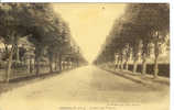 78. CHATOU.  AVENUE DES TILLEUILS. BEAU PLAN. - Chatou