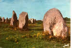 CARTE POSTALE DE MENHIRS A CARNAC - ALIGNEMENTS DE KERMARIO - Dolmen & Menhire