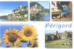 Périgord : Multi Vues Avec Fleur De Tournesol - Limousin