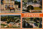 CPSM.HARAS DE POMPADOUR.PRESENTATION D´ETALON. LE CHATEAU . LE CLUB MEDITERRANEE. LE PUY MARMONT. - Arnac Pompadour