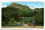 ETATS UNIS Chimney Rock Mountain And Entrance To Motor Road (Editeur Asheville Post Card) - Autres & Non Classés