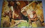 Australia,Aborigines,Natives,Rock Painting,Boomerangs,Spears,Folklore,postcard - Other & Unclassified