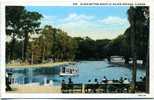 ETATS UNIS GLASS BOTTOM BOATS AT SILVER SPRINGS  (Editeur ASHEVILLE POST CARD) - Silver Springs