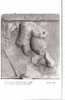 CP - PHOTO - MUSEE DE DELPHES - HERCULE ET LE LION DE NEMEE - Antiquité