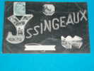 43) Yssingeaux -  - Année 1905 -  Edit Margerit - Yssingeaux