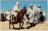 Ghardaia  - Visages Di M'Zab - Ghardaia