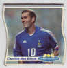 Magnet - Foot - Caprice Des Dieux - Caprice Des Bleus - Zidane - Magnete