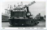 4699 - Remorqueur  KING FISH " (1984) - Armement Feronia International Shipping ( FISH ) - Commercio