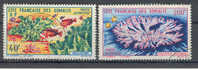 Gibuti Francese: 2 Francobolli Usati - Fauna E Flora Marina - Used Stamps