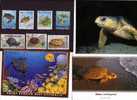 3 Postcard On Tortoise + Stamps - 3 Carte De Tortue + Timbre - Tortugas