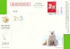 Pre-stamped Postcard, Postal Stationery ,polar Bear - Bears