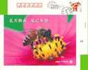 Pre-stamped Letter Card, Insect Bee Flower - Honingbijen