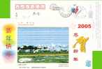 Pre-stamped Postcard, Bee, See Beach Bird Crane - Kraanvogels En Kraanvogelachtigen