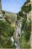 38  Vercors   Route  Des  Grands  Goulets   Gorges  De  La Venaison   CPA  Dentelée Glacée TBE - Vercors