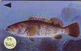 BAHRAIN Telecarte (39 BAHS )  Fish Of Bahrain - Bahrein