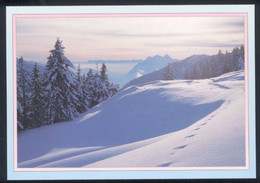 CPM Neuve 73 / 74 Paysage De Neige En Savoie - Rhône-Alpes