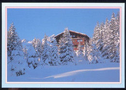 CPM Neuve 73 / 74 Paysage De Neige En Savoie - Rhône-Alpes