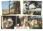 569   -   Ronce Les Bains   -   La Plage De La  Cèpe - Le Pont Sur La Seudre - Allées Et Villas Dans Les Pins - Pont-l'Abbé-d'Arnoult