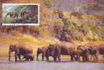 R.P. CHINA 1995 - CM - FDC - Yvert 3257 - Annullo Speciale Illustrato - Elefanti - Elephants