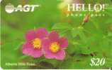 TARJETA DE LA COMPAÑIA HELLO! DE FLORES WILD ROSE, ALBERTA DE 20$ - Kanada