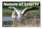 CLERES -  PARC ZOOLOGIQUE - Nature Et Liberté - Cigognes - Clères