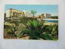 CARTE POSTALE DE FRANCE ALPES MARITIMES  06 COTE D AZUR  ANTIBES BORD DE MER VEGETATION EXOTIQUE 1964 - Antibes - Vieille Ville