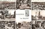 DIVONNE LES BAINS.....MULTI VUES - Divonne Les Bains