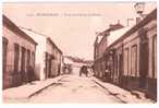 17 - BOURCEFRANC - Route De La Pointe Du Chapus   (voiture Attelée D´un Cheal Au Fond) - Marennes