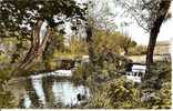 BRIOUX SUR BOUTONNE....VUE SUR LA BOUTONNE - Brioux Sur Boutonne