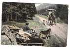 25 - DOUANE - Repos Sur Un Lit Portable Pendant Que L'autre Surveille Et Va Contrôler Une Voiture Tirée Par Un Cheval - Douane