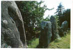 CARTE POSTALE DE CARNAC - ENCEINTE MEGALITHIQUE DU MENEC - Dolmen & Menhire