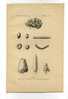 - OBJETS DU TUMULUS DE PIERREFITTE EN CHARENTE . LITHO DE 1899 - Andere & Zonder Classificatie