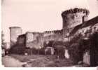 CHEVREUSE - La Madeleine - Les Remparts  N° 24 - Chevreuse