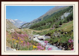 CPM L'ETE EN MONTAGNE - Rhône-Alpes