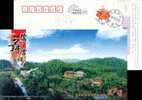 China Pre-stamped Postcard , Bird Crane Forest House - Kranichvögel