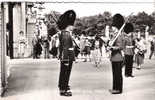 CP - PHOTO - CHANGING THE GUARD AT BUCKINGHAM PALACE - LONDON - R. F. 49 - TRES ANIMEE - - Buckingham Palace