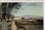 92 Carpentras - Vue Panoramique Du Ventoux Prise De La Promenade Des Platanes - Carpentras