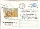 GOOD RUSSIA Postal Cover 1993 - Moscow - Tsaritsino Park (used) - Museums
