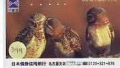 Owl HIBOU Chouette Uil Eule Buho (399) - Eagles & Birds Of Prey