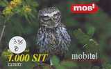 Owl HIBOU Chouette Uil Eule Buho (335b) - Eagles & Birds Of Prey